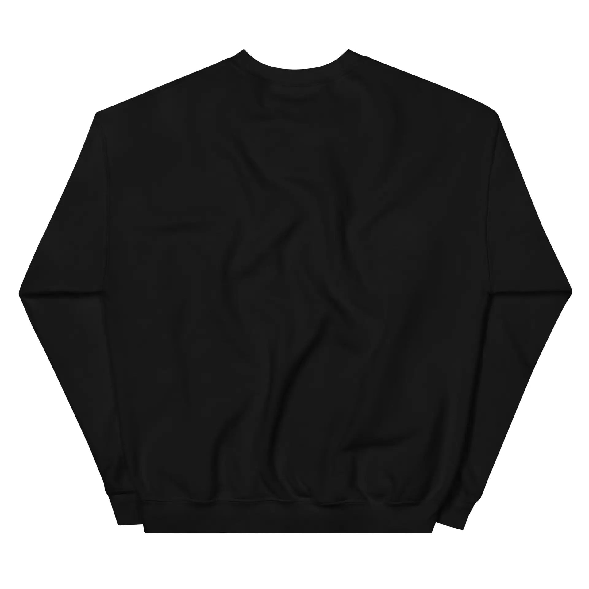 unisex-crew-neck-sweatshirt-black-back-695bd45cca743.jpg